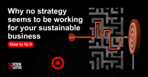 Growth strategy for sustainable business