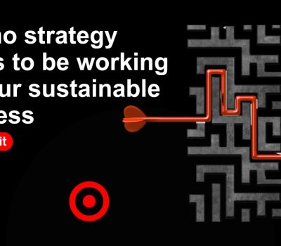 Growth strategy for sustainable business